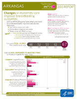 CDC National Survey Maternity Practices in Infant Nutrition and Care mPINC Arkansas 2015 Report
