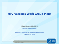HPV Vaccines Work Group plans