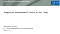 Serogroup B meningococcal vaccine booster doses