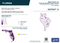 FL Congressional District 13 Stroke and Federally Qualified Health Centers Map 119th Congress