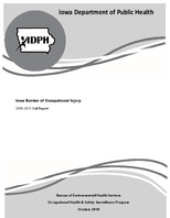 Iowa burden of occupational injury 20092013 full report