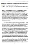 Molecular Mechanism of CrVIInduced Carcinogenesis