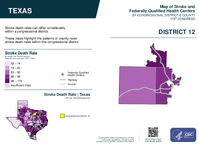 TX Congressional District 12 Stroke and Federally Qualified Health Centers Map 119th Congress