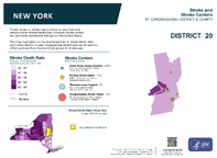 NY Congressional District 20 Stroke and Stroke Centers Map 118th Congress