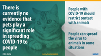 There Is Currently No Evidence That Pets Play a Significant Role in Spreading COVID10 to People