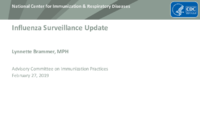 Influenza surveillance update