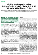Highly Pathogenic Avian Influenza AH5N1 Clade 2344b Virus in Wild Birds Chile