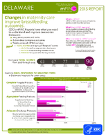 CDC National Survey Maternity Practices in Infant Nutrition and Care mPINC Delaware 2015 Report