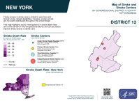 NY Congressional District 12 Stroke and Stroke Centers Map 119th Congress