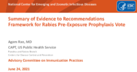 Summary of Evidence to Recommendations Framework for rabies preexposure prophylaxis vote