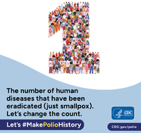 1 The Number of Human Diseases That Have Been Eradicated Just Smallpox Lets Change the Count