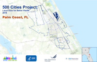 500 Cities Project Local Data for Better Health 2016 Palm Coast FL