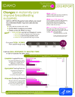 CDC National Survey Maternity Practices in Infant Nutrition and Care mPINC Idaho 2015 Report