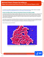 National Enteric Disease Surveillance Shiga toxinproducing Escherichia coli STEC Annual Report 2012