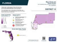 FL Congressional District 12 Stroke and Stroke Centers Map 119th Congress