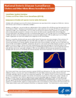 National Enteric Disease Surveillance  Cholera and Other Vibrio Illness Surveillance COVIS