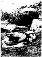 Public Health Reports  v 81 no 3 March 1966  masthead