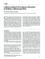 Cadherinmediated cell sorting not determined by binding or adhesion specificity