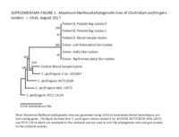 Supplementary Figure 1 Maximum Likelihood Phylogenetic Tree of Clostridium Perfringens Isolates  Utah August 2017