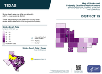TX Congressional District 19 Stroke and Federally Qualified Health Centers Map 119th Congress