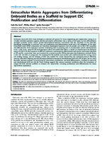 Extracellular Matrix Aggregates from Differentiating Embryoid Bodies as a Scaffold to Support ESC Proliferation and Differentiation