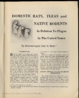 Domestic rats native rodents and fleas in relation to plague in the United States