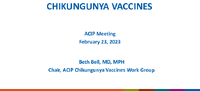 Chikungunya vaccines