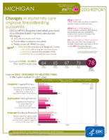 CDC National Survey Maternity Practices in Infant Nutrition and Care mPINC Michigan 2015 Report