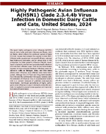 Highly Pathogenic Avian Influenza AH5N1 Clade 2344b Virus Infection in Domestic Dairy Cattle and Cats United States 2024