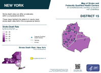 NY Congressional District 15 Stroke and Federally Qualified Health Centers Map 119th Congress