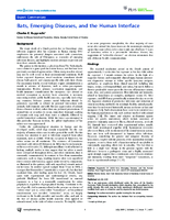 Bats Emerging Diseases and the Human Interface