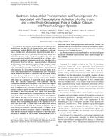 CadmiumInduced Cell Transformation and Tumorigenesis Are Associated with Transcriptional Activation of CFos CJun and CMyc ProtoOncogenes Role of Cellular Calcium and Reactive Oxygen Species