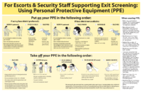 For Escorts  Security Staff Supporting Exit Screening Using Personal Protective Equipment PPE