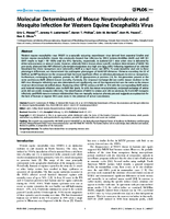 Molecular Determinants of Mouse Neurovirulence and Mosquito Infection for Western Equine Encephalitis Virus