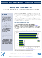Mortality in the United States 2021