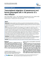 Transcriptional adaptation of pneumococci and human pharyngeal cells in the presence of a virus infection