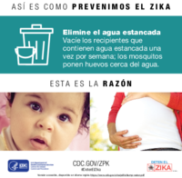 As es como prevenimos el zika elimine el agua estancada