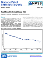 Fetal Mortality United States 2023