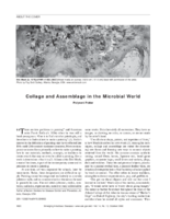 Collage and Assemblage in the Microbial World