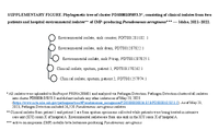 Supplementary Figure Phylogenetic Tree of Cluster PDS0001058533 Consisting of Clinical Isolates From Two Patients and Hospital Environmental Isolates of IMPProducing Pseudomonas aeruginosa  Idaho 20212022