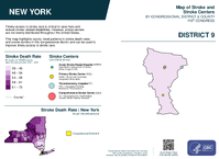 NY Congressional District 09 Stroke and Stroke Centers Map 119th Congress