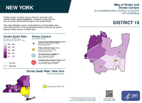 NY Congressional District 19 Stroke and Stroke Centers Map 119th Congress