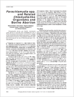 Parachlamydia spp and Related Chlamydialike Organisms and Bovine Abortion