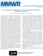 Provisional COVID19 Ageadjusted Death Rates by Race and Ethnicity  US 20202021