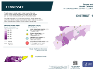 TN Congressional District 01 Stroke and Stroke Centers Map 118th Congress