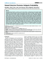 Natural Selection Promotes Antigenic Evolvability