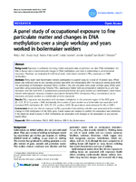 A Panel Study of Occupational Exposure to Fine Particulate Matter and Changes in DNA Methylation over a Single Workday and Years Worked in Boilermaker Welders