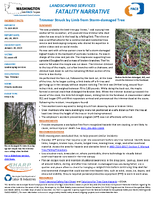 Landscaping Services Fatality Narrative Trimmer Struck by Limb from StormDamaged Tree