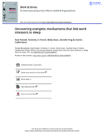 Uncovering Energetic Mechanisms That Link Work Stressors to Sleep