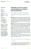 Flexibility of in vitro cortical circuits influences resilience from microtrauma
